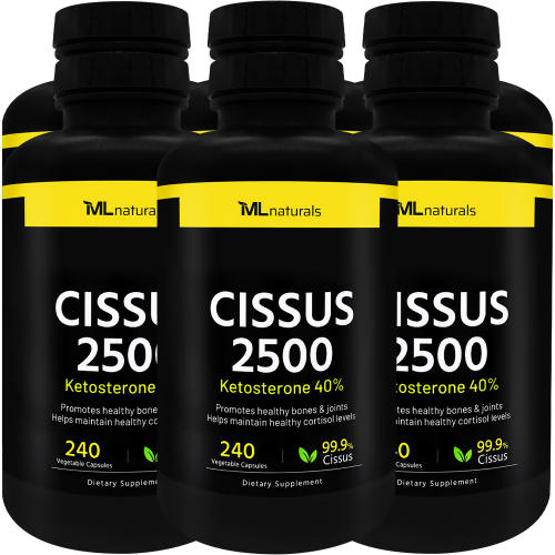 6병 마이라이프 내추럴스 시서스 <b>Cissus</b> 2500 240 야채캡슐