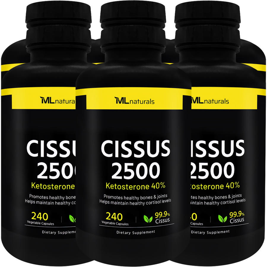 6병 마이라이프 내추럴스 시서스 Cissus 2500 240 야채캡슐