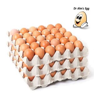 [닥터안스에그 3판 90알] 특란 대란 초란 무항생제 달걀 생란 당일생산