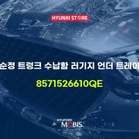 순정 트렁크 수납함 러기지 언더 트레이 (8571526610QE)