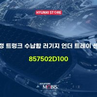 순정 트렁크 수납함 러기지 언더 트레이 센터 (857502D100)