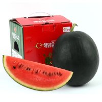 해맑음 속이 빨간 수박 2.5kg~3kg내외 미니수박