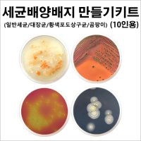 세균배양 배지 키트 10인용 (일반세균, 대장균, 황색포도상구균, 곰팡이 선택)