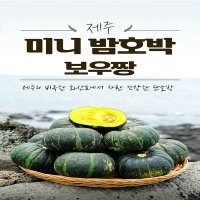 [한경농협]제주 미니 밤호박 3kg(6-9개입)/단호박/보우짱