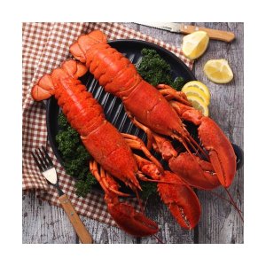 해다원 [해다원] 리얼크랩 자숙랍스터(특 3미/캐나다현지 급냉)마리당400~450g