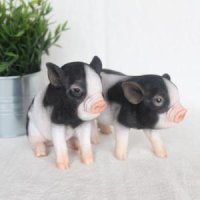 리얼 피그 얼룩 소형 돼지장식품 개업식선물