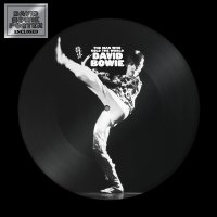 수입LP David Bowie - The Man Who Sold The World Picture Disc LP