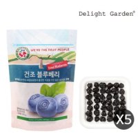 딜라잇가든 건조과일 블루베리 200g x 5