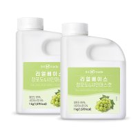 흥국 리얼베이스 청포도&샤인머스켓 1kg 2개세트