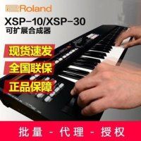 휴대용피아노 블루투스피아노 롤랜드 프로 무대편곡 전자합성기 키 XPS10 XPS-30