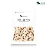 생 캐슈넛 1kg 캐슈너트 캐슈나무열매