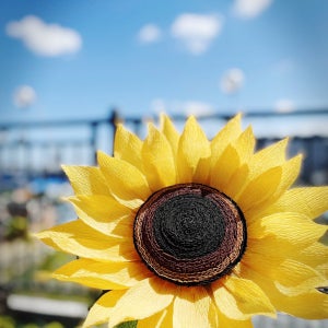 (집들이, 개업선물 강추) 페이퍼 해바라기 토퍼화분🌻 자이언트플라워, 특별한날엔 끌리제