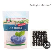 딜라잇가든 건조과일 블루베리 200g x 3