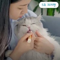 고양이 5초 양치 칫솔치약 일체형 냥치카펜