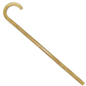 지팡이(단장) (D-5)