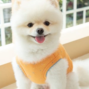 [페티풀] 몽몽꽃 슬리브리스 - 오렌지 PMMS- OR