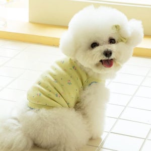 [페티풀] 몽몽꽃 슬리브리스 - 연노랑 PMMS-Y