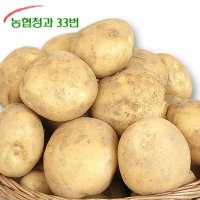 23년 햇 감자 10kg (왕특)-선물고급형/요리용