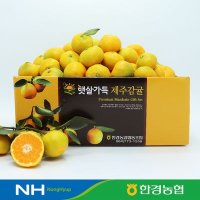 [한경농협] 제주 하우스감귤 2.5kg 소과 (2S)