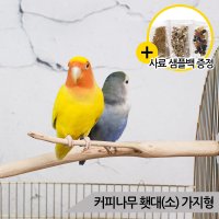 커피나무 횃대 소 가지형 앵무새횃대 단단튼튼 자연목