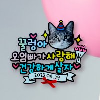 낭만오리 대두 강아지 생일토퍼 고양이 생일 토퍼 애견 생일 케이크 메세지 생신 돌 백일