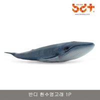 반디 흰수염고래 1P 소프트 해양동물 장난감 모형