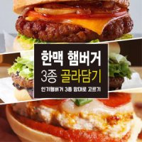 한맥 인기햄버거 3종 불고기맛 숯불갈비맛 피자맛 냉동햄버거