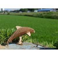 자연과디자인 3D-woodcraft 돌고래 입체퍼즐