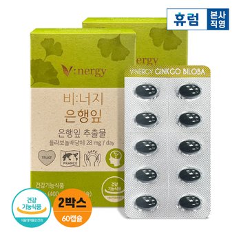 <b>휴럼</b> 비너지 은행잎 추출물 징코 <b>기억력</b> 2박스