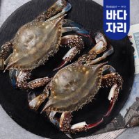 국산 특대 봄 알배기 급랭 암꽃게 2미 (급랭/600g내외) 냉동꽃게