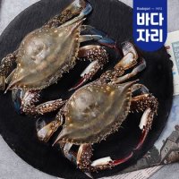 국산 특대 봄 알배기 급랭 암꽃게 2미 (급랭/600g내외) 냉동꽃게