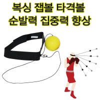 에버라스트 복싱잽볼 권투 타격 집중력 순발력 정확도