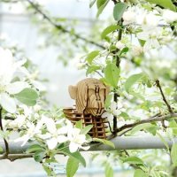 자연과디자인 3D-woodcraft 원숭이 입체퍼즐