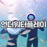 브이패스 제주 언더워터플레이 / 제주도 여행 수상레저 스노쿨링 다이빙 관광지