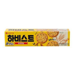 자라다plant 이미지