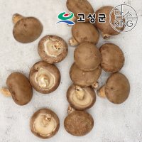 [공룡나라]고성 웅이표고농장 생표고버섯(생표고 중품1kg)  1개