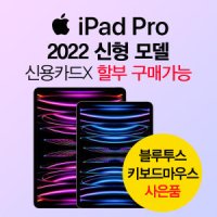 아이패드프로 4세대 6세대 11인치 12.9인치 2022신형 ipad pro11