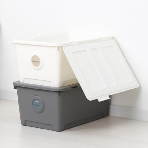 올리빙 도트 리빙박스 60L 2P