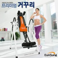 은성헬스빌 가정용 프리미엄 거꾸리 국산