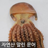 말린문어 마른문어 국산 건문어 피문어 돌문어 40cm 남해안산