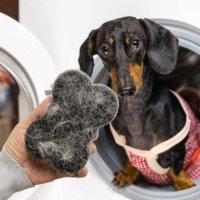 멍펀지 세탁볼 4pcs 털제거 고양이 강아지 옷먼지제거