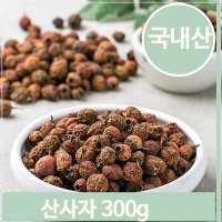 붉은빛 산사나무 열매 300g 산사자 적조자 서사 후사