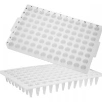 [Axygen] 96-well PCR Microplates_No Skirt, Flat Top, Low Profile (96 PCR 플레이트_AX.PCR-96-LP-FLT-C)