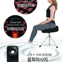 케겔 요실금 힙업 골반 LED 음파마사지 방석