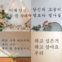 레터링 인테리어 글자 유리창 벽지 데코 스티커