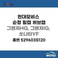 현대모비스 순정 휠캡 허브캡 그랜저HG, 그랜저IG, 쏘나타YF (품번:529603S120)