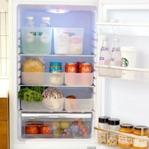 보노하우스 반투명 냉장고 수납 정리함 S 4P 계란 야채 보관 펜트리 리빙박스 (오픈형)