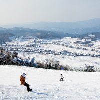 [21~22시즌] 알펜시아 리조트 스키시즌권 패밀리 가족 2인 소인+소인