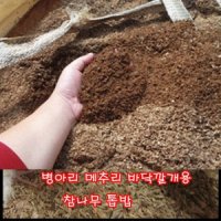 배송 참나무 톱밥 10kg 메추리베딩 병아리