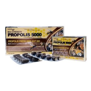 propolis5000 최저가 가성비상품